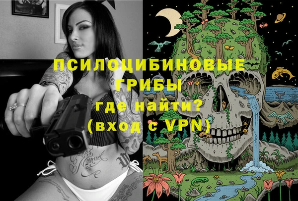 2c-b Верхний Тагил
