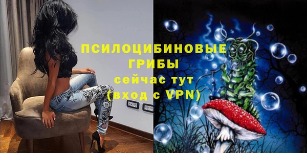 2c-b Верхний Тагил