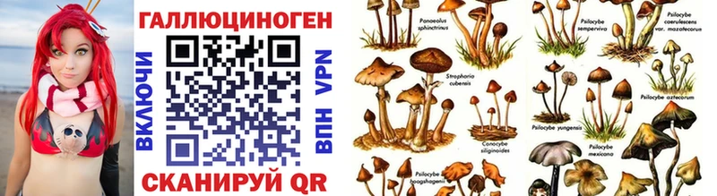 МЕГА ссылка  купить  цена  shop наркотические препараты  Псилоцибиновые грибы Magic Shrooms  Шатура 